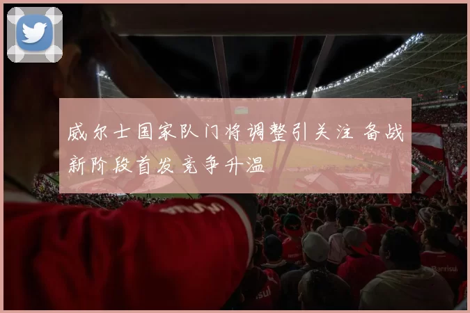 威尔士国家队门将调整引关注 备战新阶段首发竞争升温