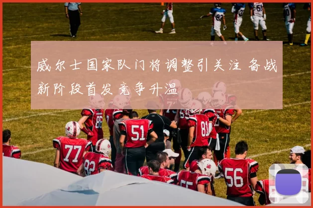 威尔士国家队门将调整引关注 备战新阶段首发竞争升温