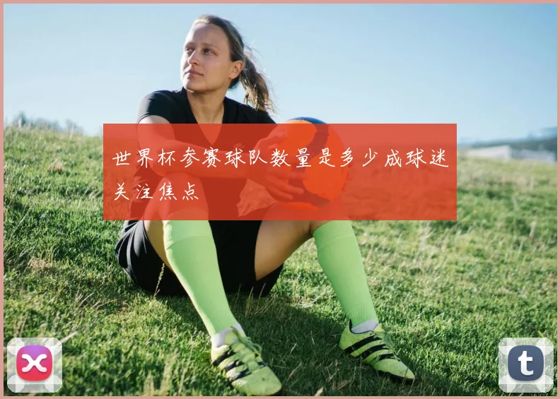 世界杯参赛球队数量是多少成球迷关注焦点
