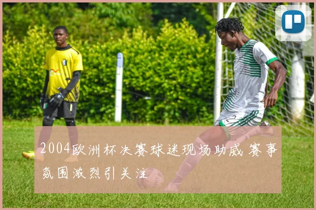 2004欧洲杯决赛球迷现场助威 赛事氛围浓烈引关注