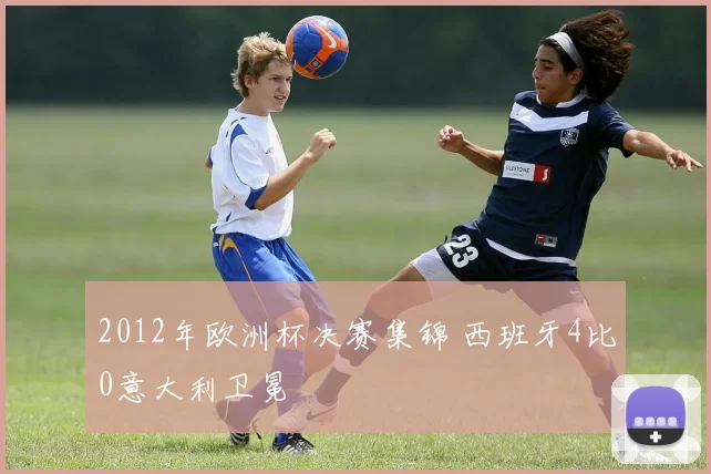 2012年欧洲杯决赛集锦 西班牙4比0意大利卫冕