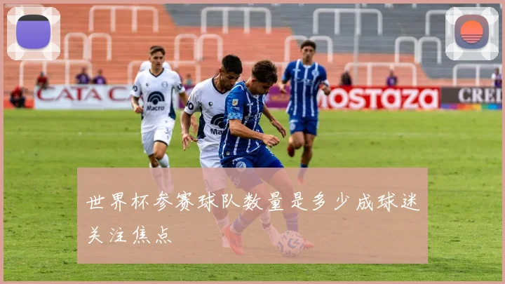 世界杯参赛球队数量是多少成球迷关注焦点