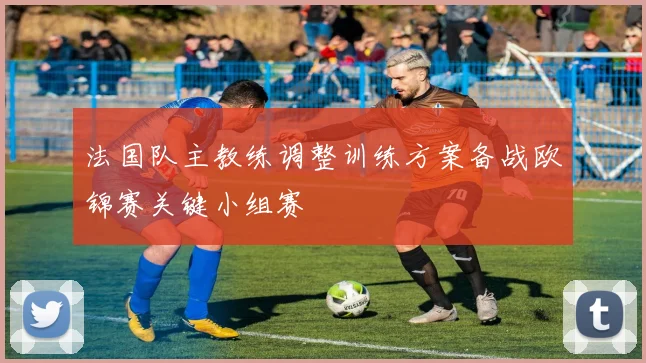 法国队主教练调整训练方案备战欧锦赛关键小组赛