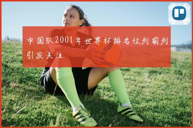 中国队2001年世界杯排名位列前列引发关注