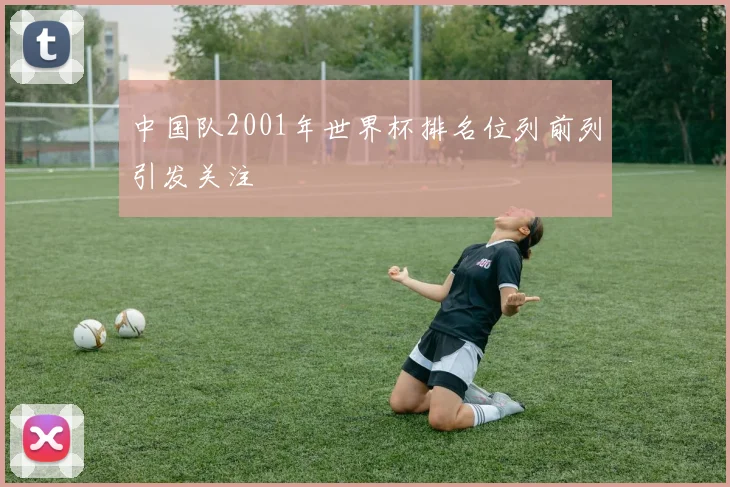 中国队2001年世界杯排名位列前列引发关注