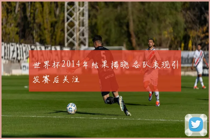 世界杯2014年结果揭晓 各队表现引发赛后关注